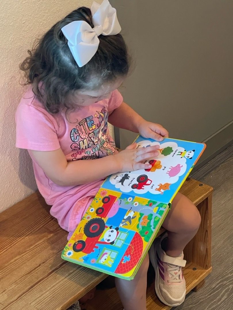 A preschooler reading a farm board book on a wooden bench